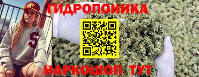 a pvp Баксан