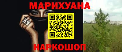 дживик Аша