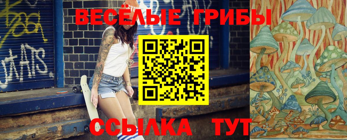 Городец  Галлюциногенные грибы Psilocybine cubensis  Вход с VPN  Галлюциногенные грибы Cubensis 